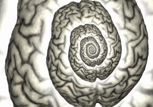 Read more about the article The Gastric Network – Stomach and Brain Work Together